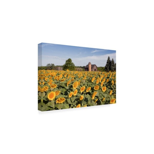 Monte Nagler 'Sunflowers And Barn Owosso Mi' Canvas Art,12x19